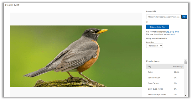 bird
