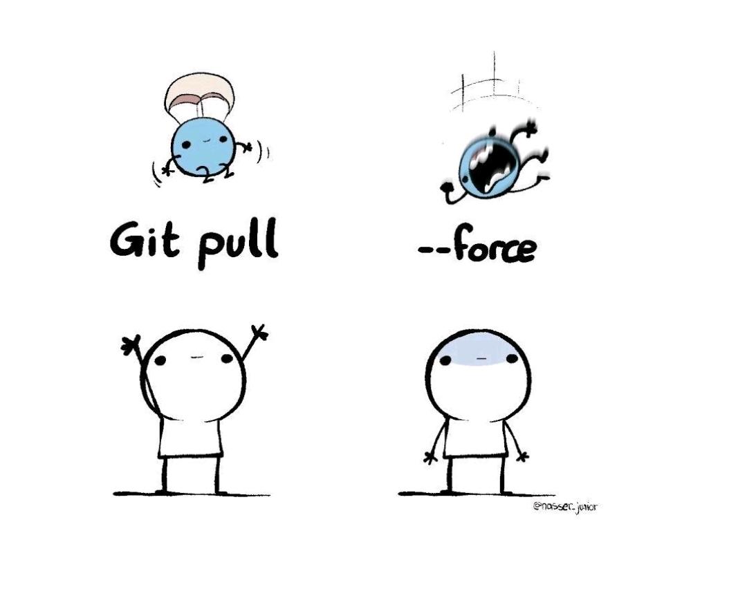 Data scientist's meme