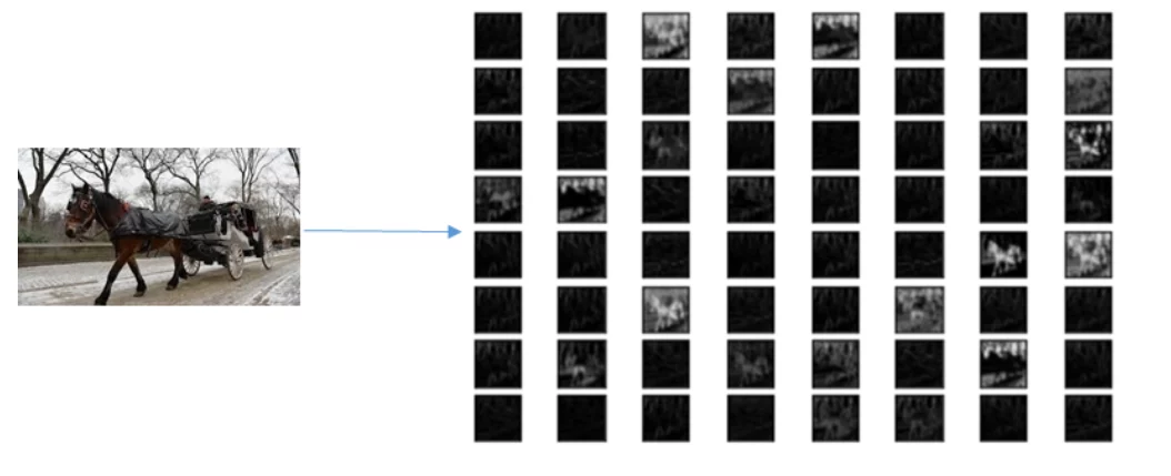CNN Layer Transfer Learning image