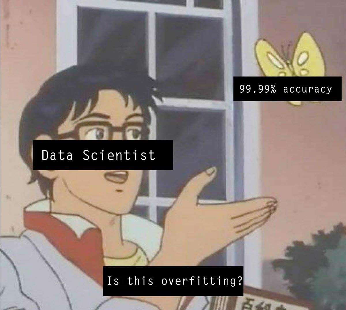 data scientist meme