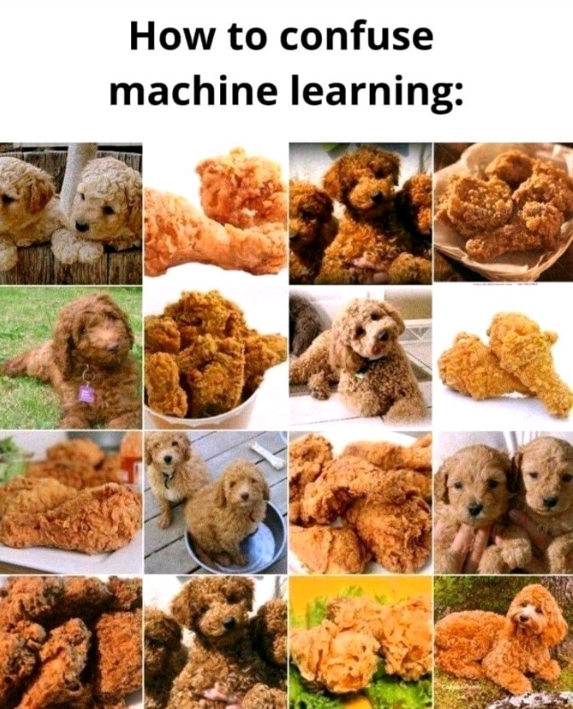 Data scientist's meme