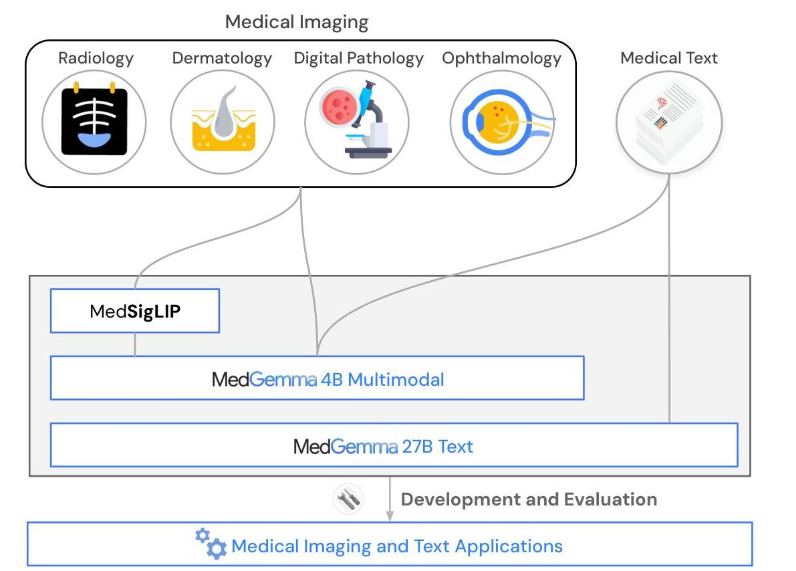 Medgemma - Generative AI Research