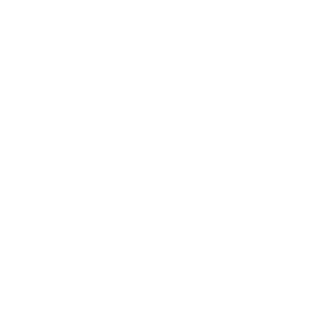 Pinecone Data Science Dojo