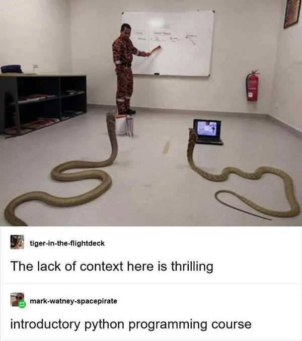 python programming meme