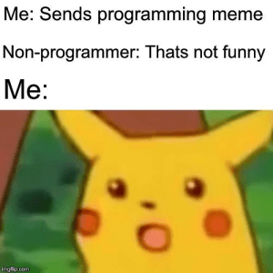 programming meme