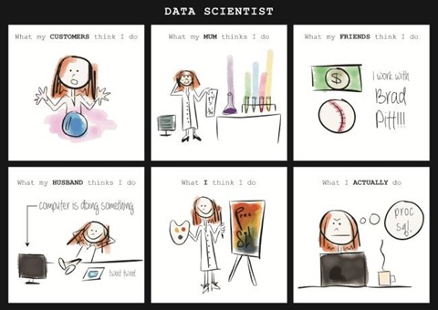 what does a data scientist do meme