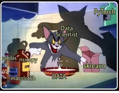 data science meme
