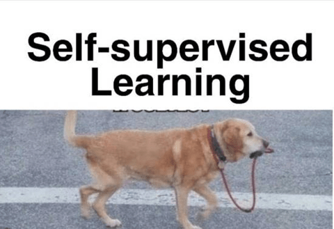 supervised learning