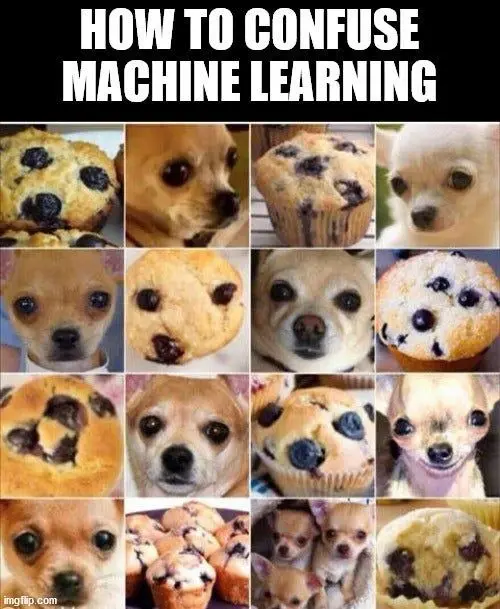 how to confuse machine learning meme