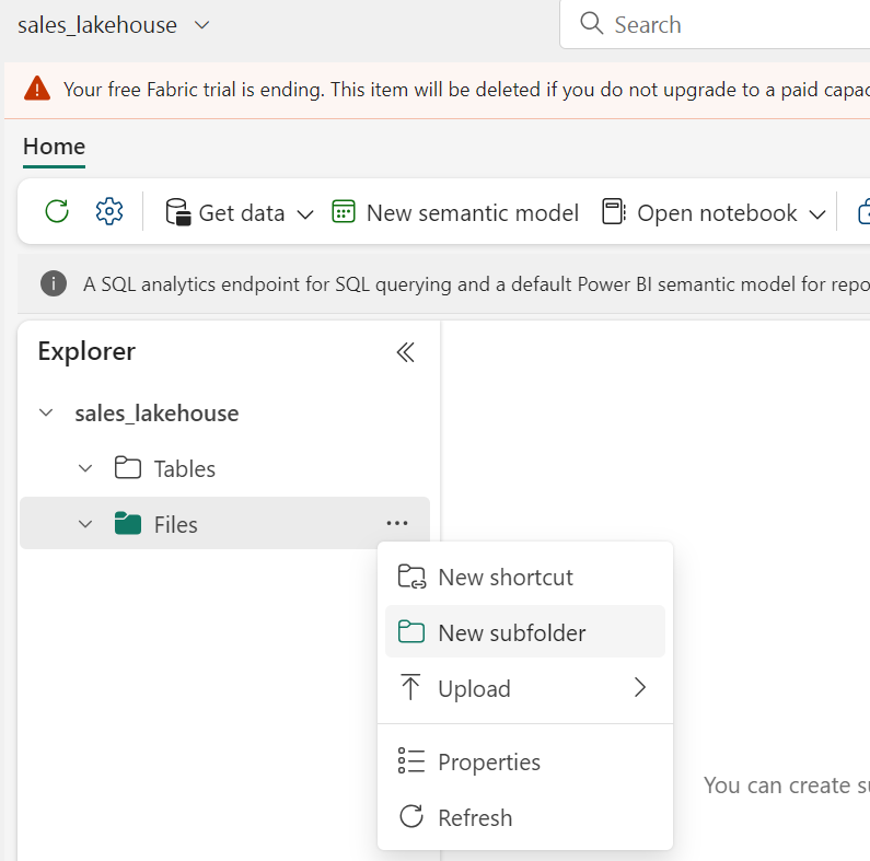 lake view tab - Microsoft Fabric