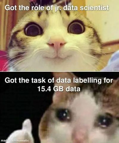 data scientist meme