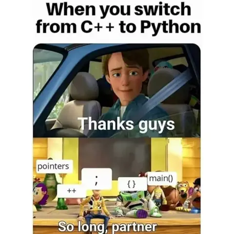 programming meme