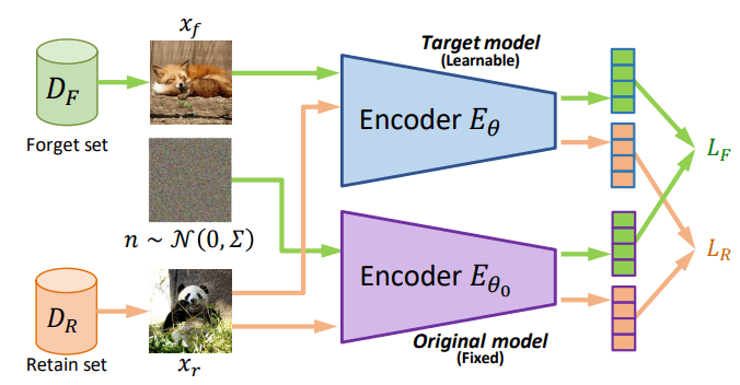 A glance at the proposed encoder-only machine unlearning architecture