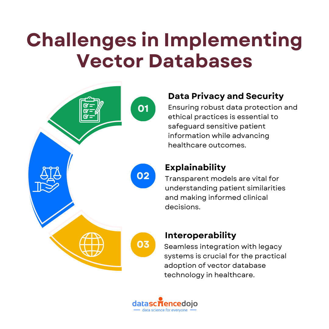 Challenges in Implementing Vector Databases for Precision Medicine