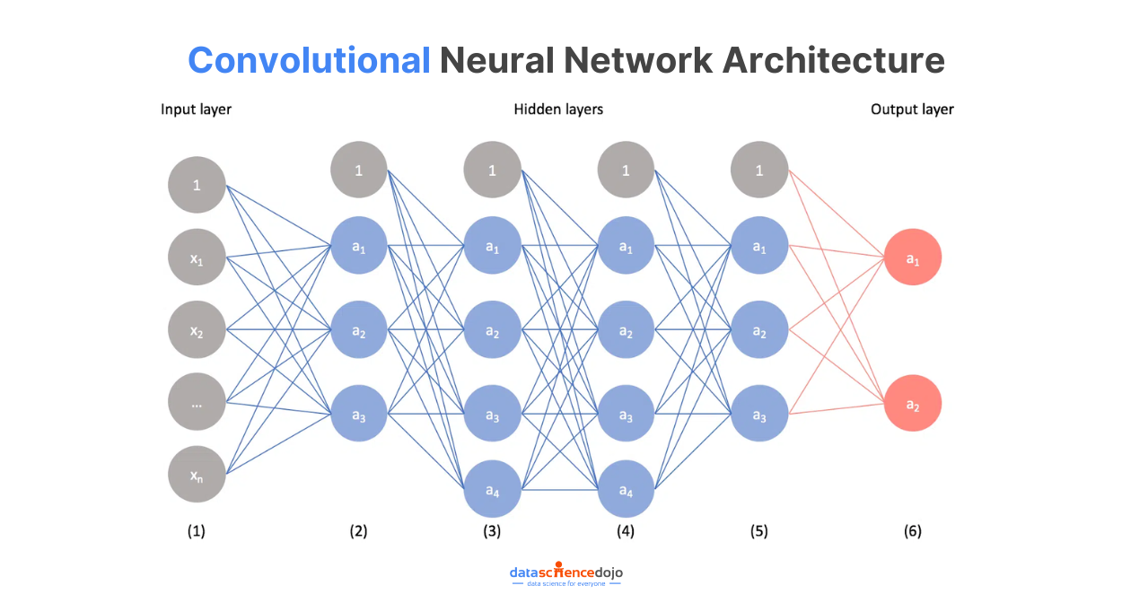 Convolutional Neural Network Architecture