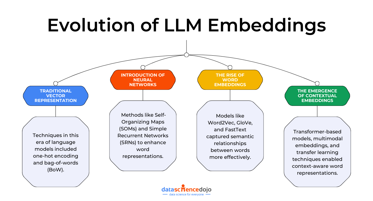 Evolution of LLM word Embeddings