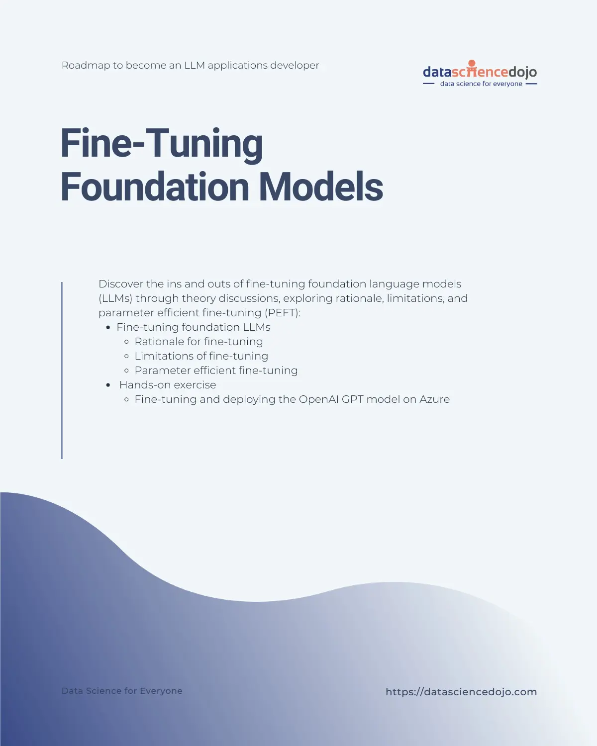 Fine-tuning of Foundation Models - LLM Bootcamp Data Science Dojo