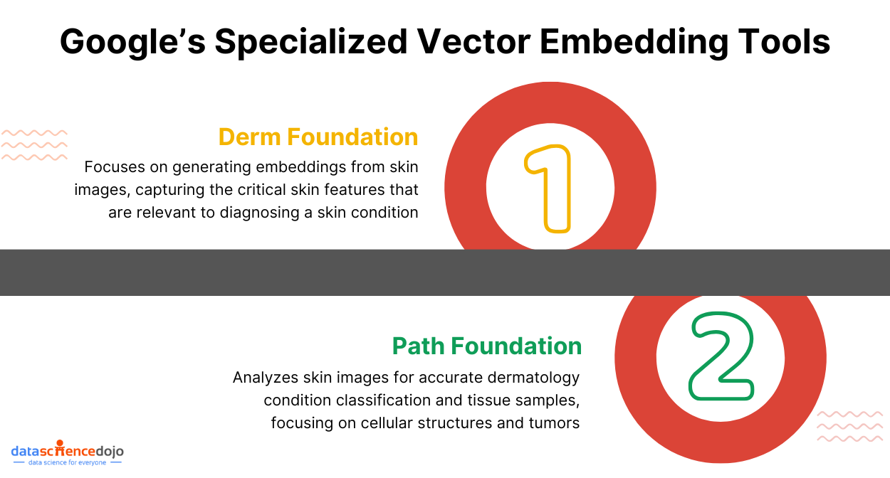 Google’s Specialized Vector Embedding Tools