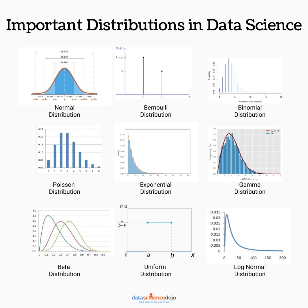 Important Distributions in Data Science