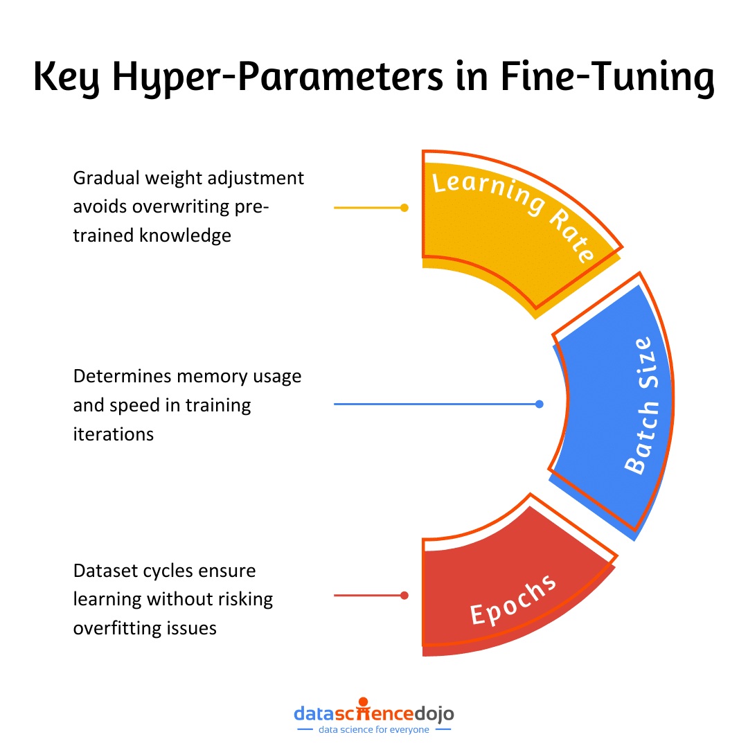 Key Hyper-Parameters in Fine-Tuning