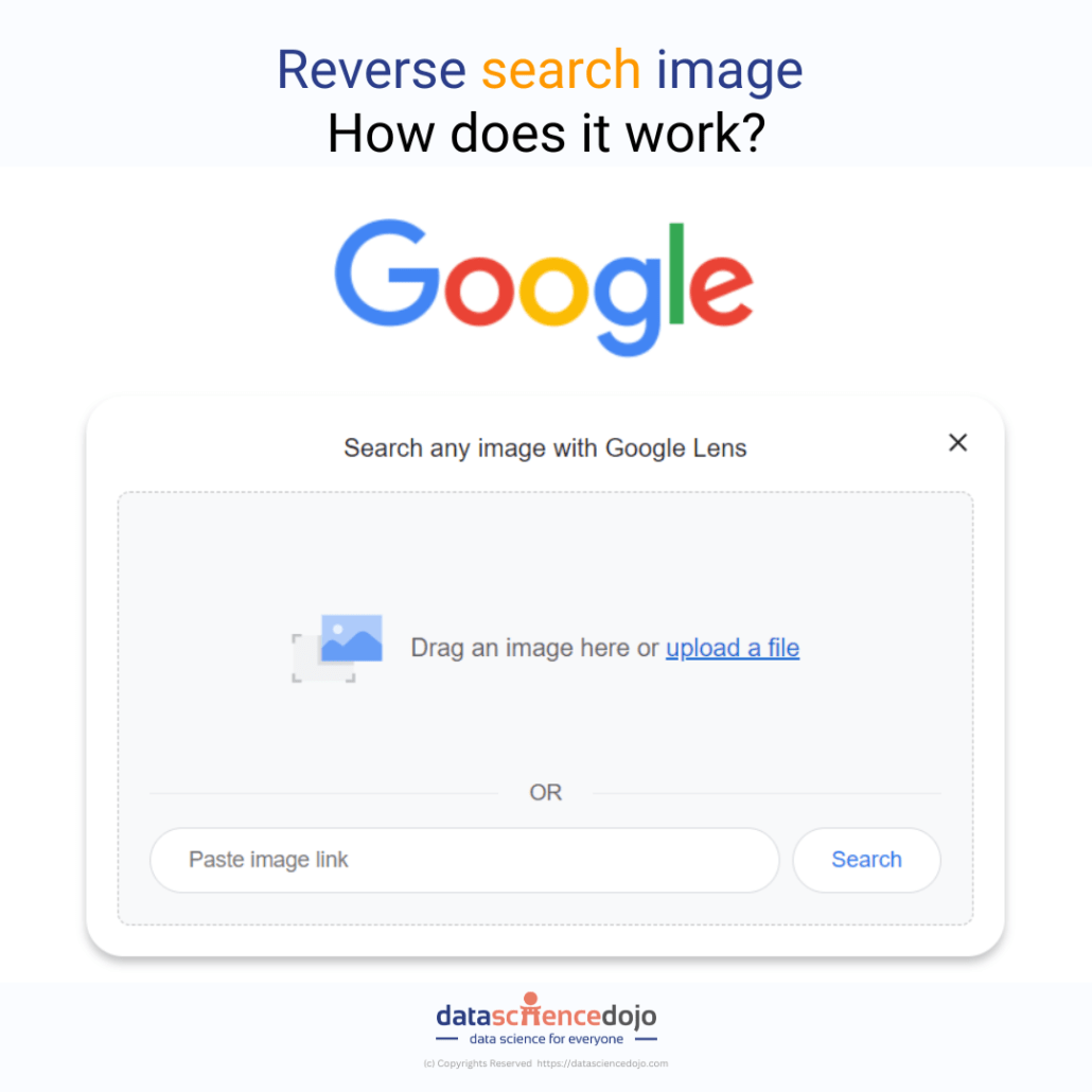 Quickly Find Your Best Photos With Reverse Image Search Tool - Gambaran