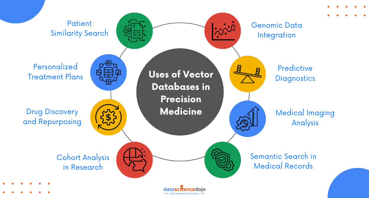 Uses of Vector Databases in Precision Medicine