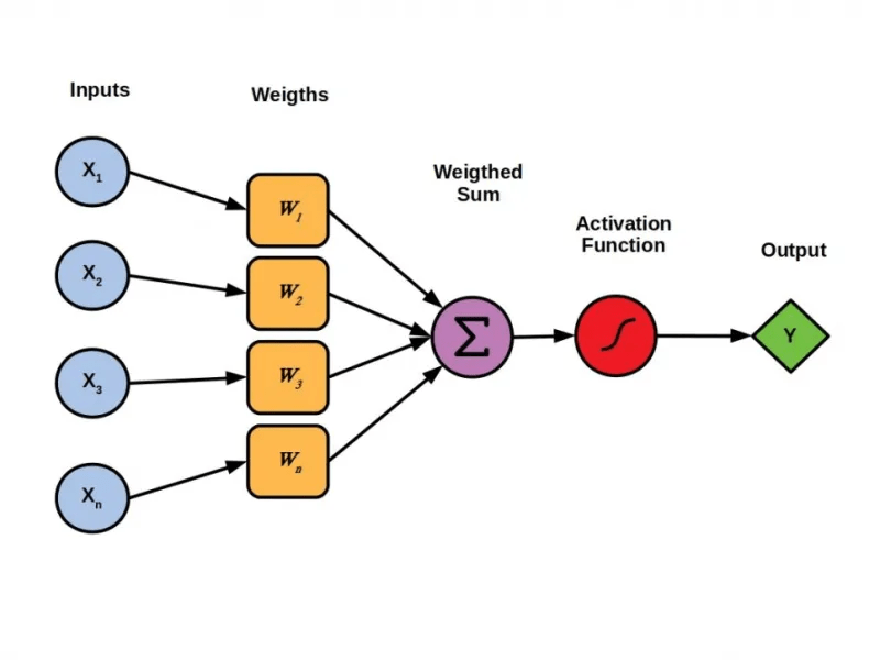 Workflow of a Perceptron - types of neural networks