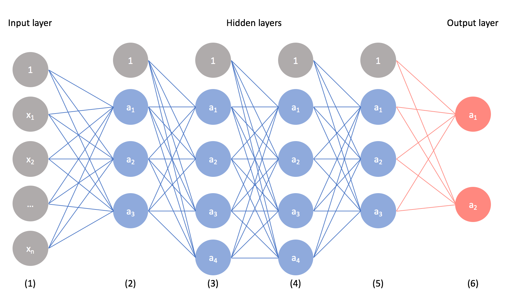 Understanding neural networks: A beginner’s guide