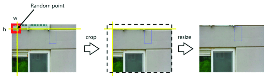 cropping and scaling in data augmentation