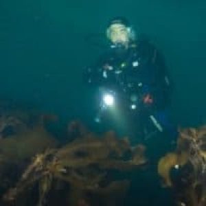 Andrea Peggion - Microsoft