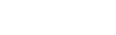 newyork vector - white