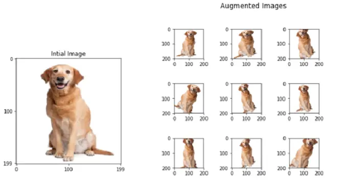 flipping and rotation in data augmentation