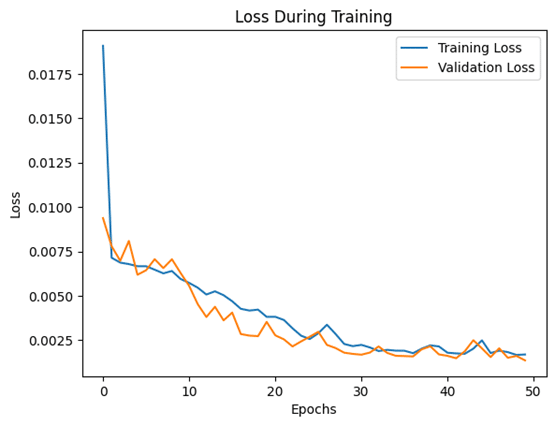 loss during training