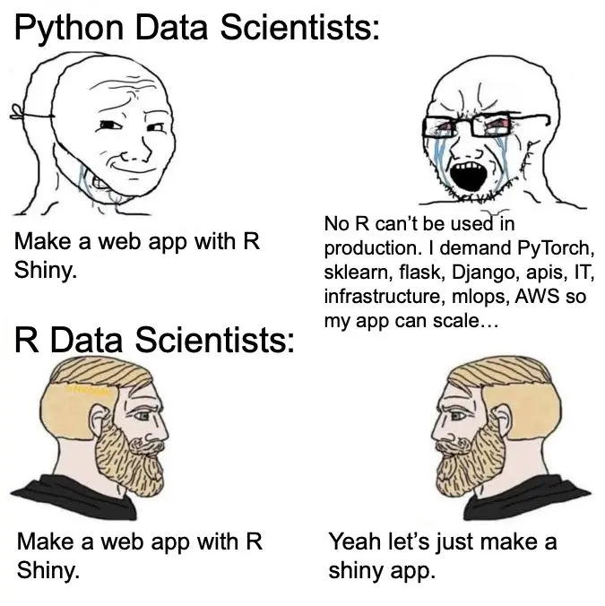 Data scientist's meme