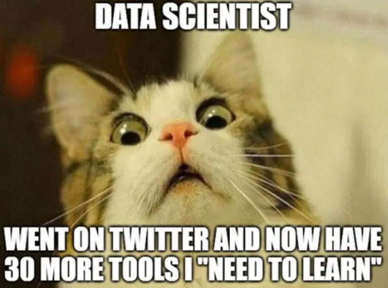 Data scientist's meme